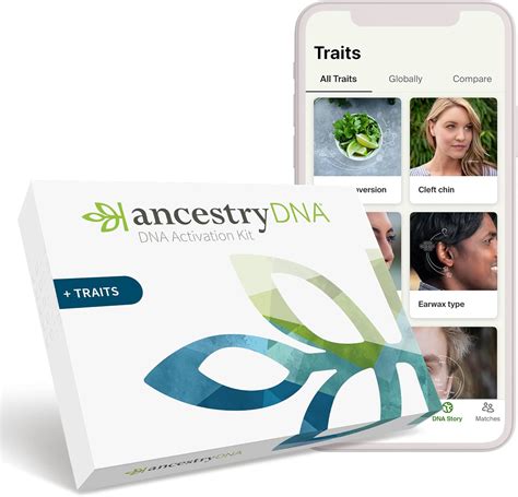 The 5 Most Accurate DNA Test Kits, Ranked By Experts