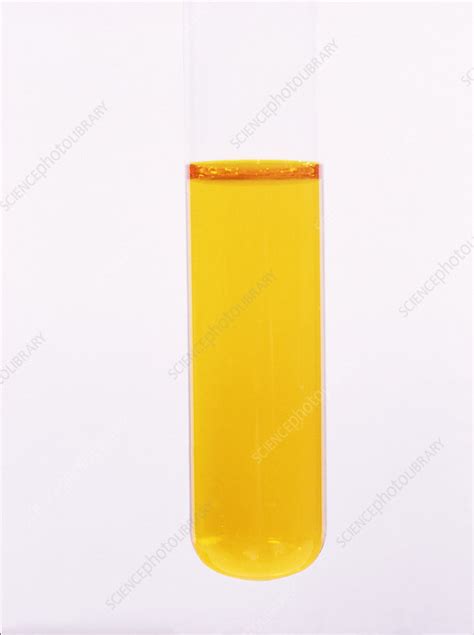 Potassium dichromate solution - Stock Image - A500/0329 - Science Photo ...