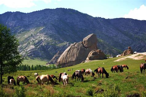 Ulaanbaatar, capital city of Mongolia | National Parks around Ulanbator