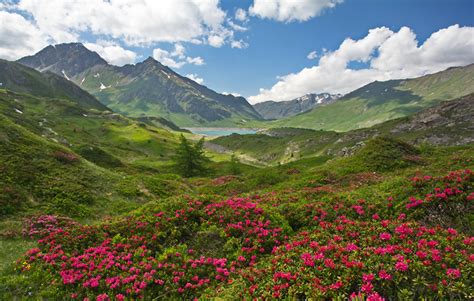 壁紙，法国，風景攝影，山，杜鵑花屬，Savoie，丘，大自然，下载，照片