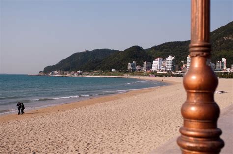 Top 5 Beaches to Visit in Busan This Summer