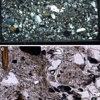 Textures and components of the Cerro Galán ignimbrite. (a) Strong ...