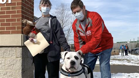 One of longest-term dogs at Ohio animal shelter gets adopted