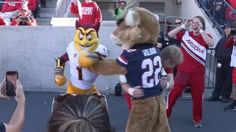 Arizona, Arizona State mascots get into fight - Sparky beats Wilbur ...