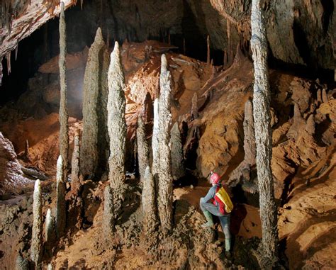 Stalagmites Reveal Ancient Secrets | Audubon