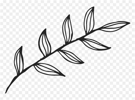 Clipart Leaf Outline Black And White, HD Png Download - vhv