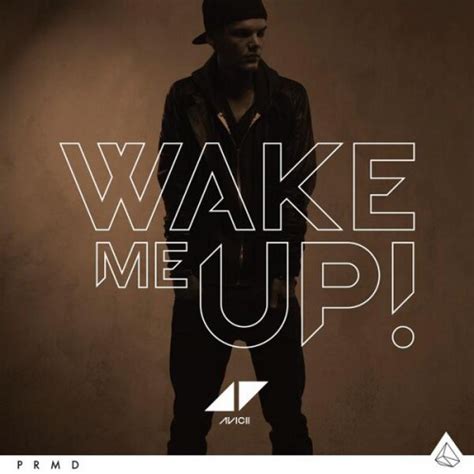 Avicii - Wake Me Up! - Reviews - Album of The Year