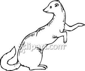 weasel clipart black and white 10 free Cliparts | Download images on ...