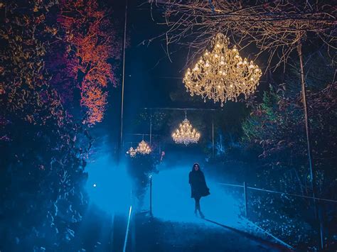 Magical Dunham Massey Christmas Lights Trail Review (2025)!