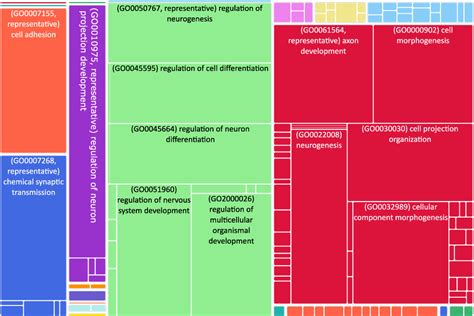 Figure 2 from Comparison among Neuroblastoma Stages Suggests the ...