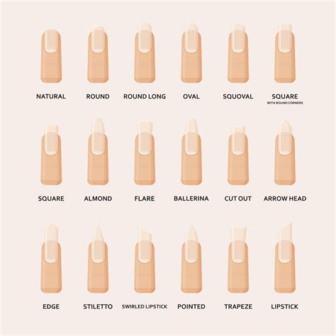 Nail Shape Infographic - MEMORANDUM | NYC Fashion & Lifestyle Blog for ...