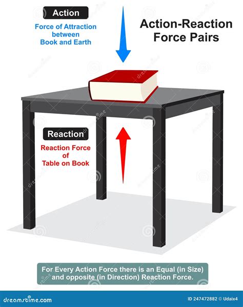 Newton Third Law Of Motion Infographic Diagram Example Balloon Hammer ...