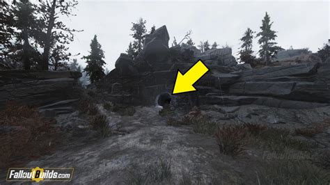 Fallout 76 Brain Fungus Locations Map