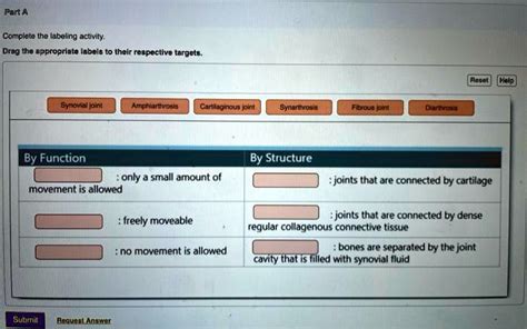 SOLVED: Complete the labeling activity. Drag the appropriate labels to ...