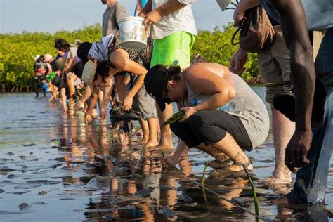 ‘None of Us Saw It Ending This Way’: Peace Corps Volunteers Evacuate ...