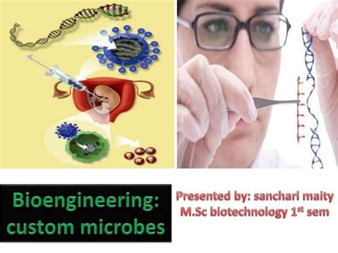 Bioengineering custom microbes, genetic engineering,bioremediation,bi…