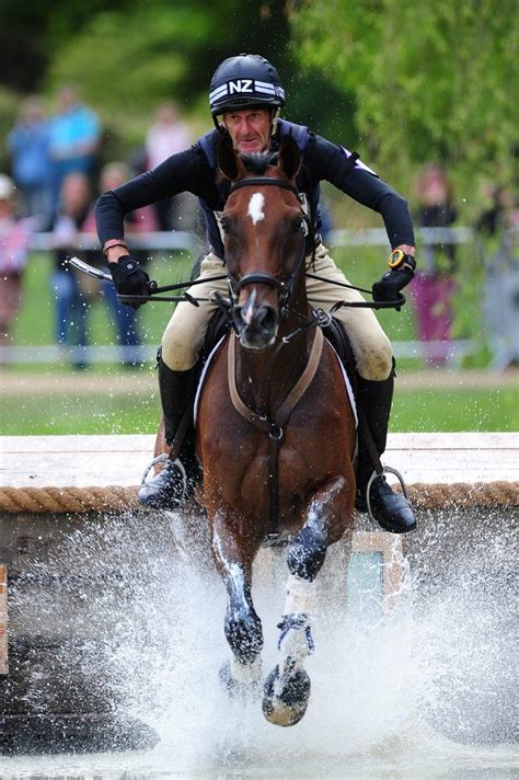 Hanoverian | Sport horse, Olympic equestrian, Eventing horses