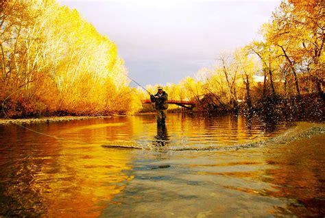 Boise River - Boise River Guides