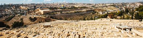 The Mount of Olives Jewish Cemetery | Bein Harim Tours