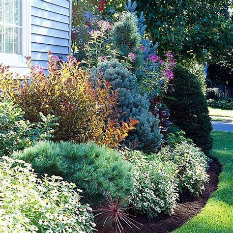 Use Evergreens to Make an Impact in Your Landscape | Evergreen ...