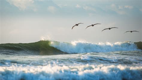 Floaters | Ned Leary Photography