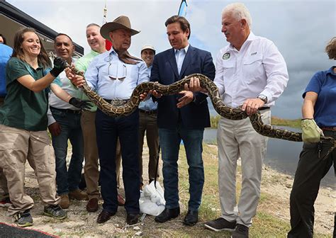 Florida’s Python Challenge begins: 450 snake hunters compete for $10k prize