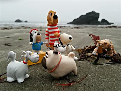 At the Dog Beach | Dog toys at beaches | John 3000 | Flickr