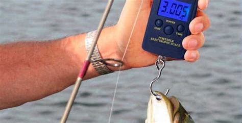 Best Fishing Scales - Review and Guide 2021