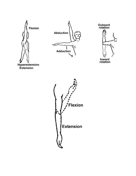 Exercises: Range Of Motion Exercises