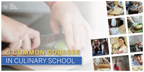 5 Common Courses in Culinary School - Best Choice Schools