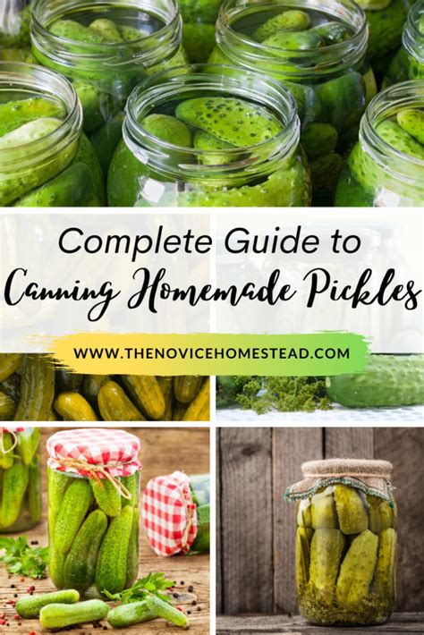 Complete Guide to Canning Pickles - The Novice Homestead