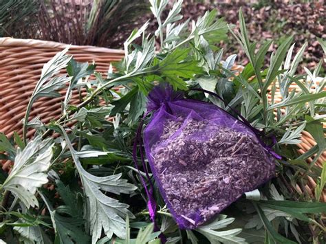 Mugwort Dream Pillow | Etsy