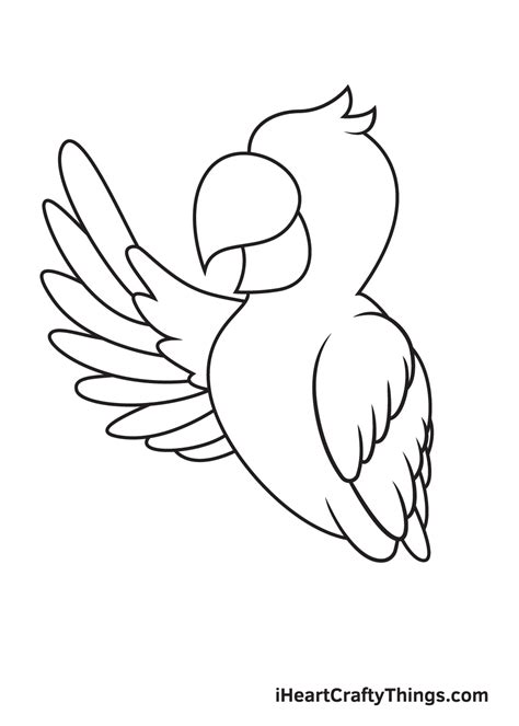 Parrot Drawing — How To Draw A Parrot Step By Step