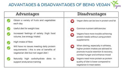 Vegetarian diet – advantages and disadvantages. Can you lose weight ...