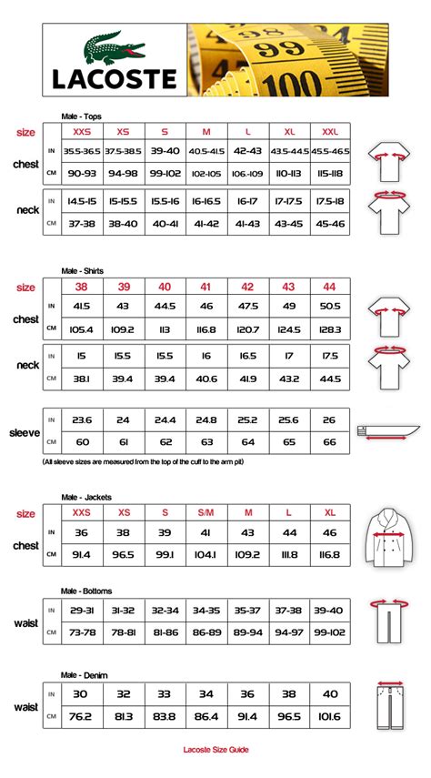 19 Luxury Lacoste Size Chart