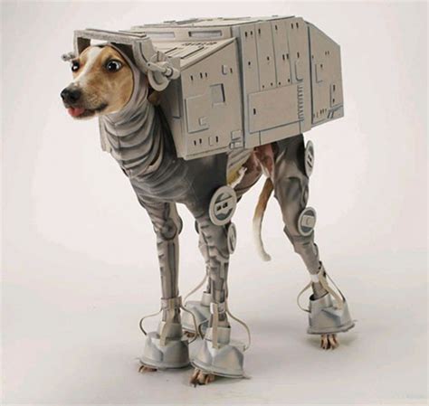 20 Crazy Dog Costumes You Would Love To Put On Your Pooch