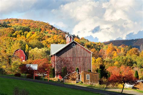 Fall Foliage in the Finger Lakes | Fall in the Finger Lakes