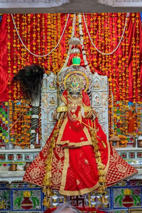 Vertical Shot of a Goddess Sculpture Inside the Karni Mata Temple in ...