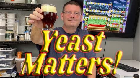 10 Beer Brewing Tips, Recommendations, and Hacks - Week 5 - YouTube