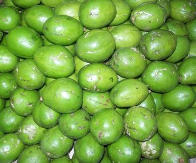 Bangladesh fruit,Amra,fruit,what is Amra,benefits of Amra