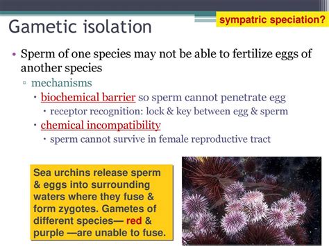 Chapter 24 The Origin of Species. - ppt download