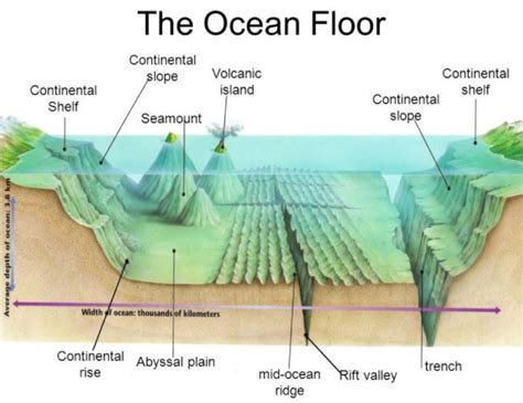 Ocean Floor Features | Science - Quizizz