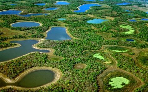 Pantanal, The World’s Largest Freshwater Wetland | Amusing Planet