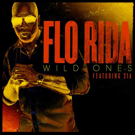 The TMJ Charts: Flo Rida & Sia › Wild Ones