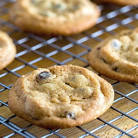 Sugar Free Cookie Recipes Made With Splenda | Dandk Organizer