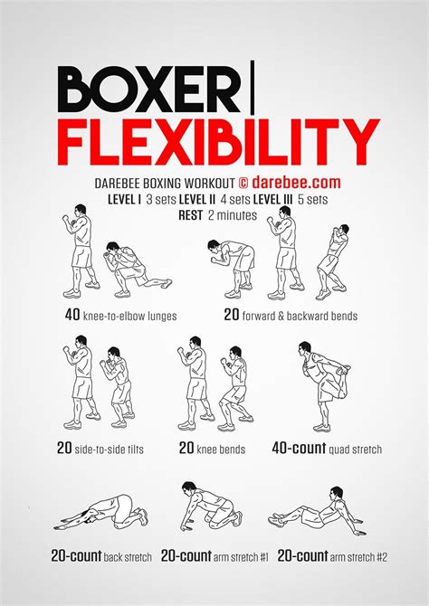 Day 5 - Boxer Flexibility Workout | Flexibility workout, Boxing ...