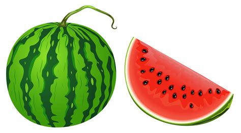 Free Watermelon Fun Cliparts, Download Free Watermelon Fun Cliparts png ...