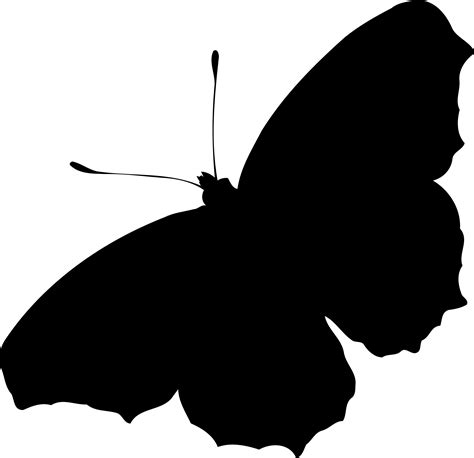 Free Butterfly Cliparts Silhouette, Download Free Butterfly Cliparts ...