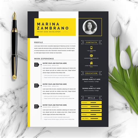 21+ Best Contemporary (New Styles) Resume CV (For 2020/2021)