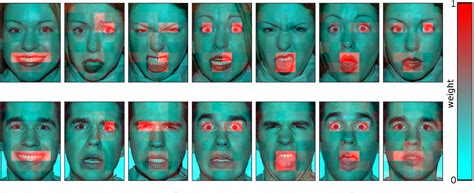 Figure 4 from Mapping the emotional face. How individual face parts ...